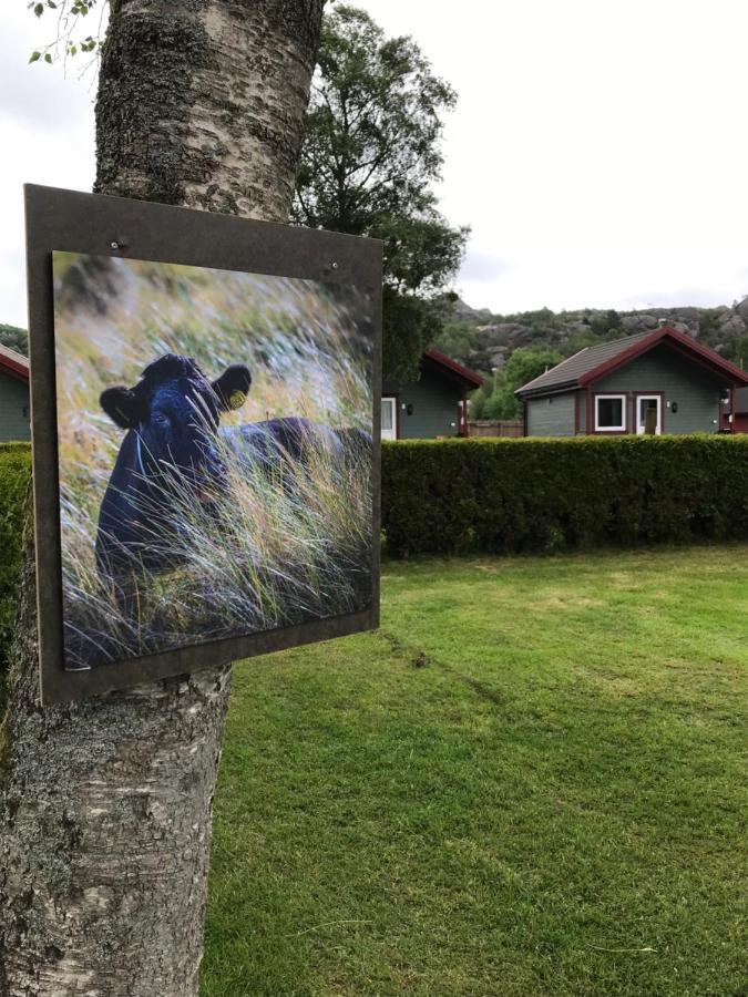 Naf Steinsnes Camping Egersund Eksteriør billede